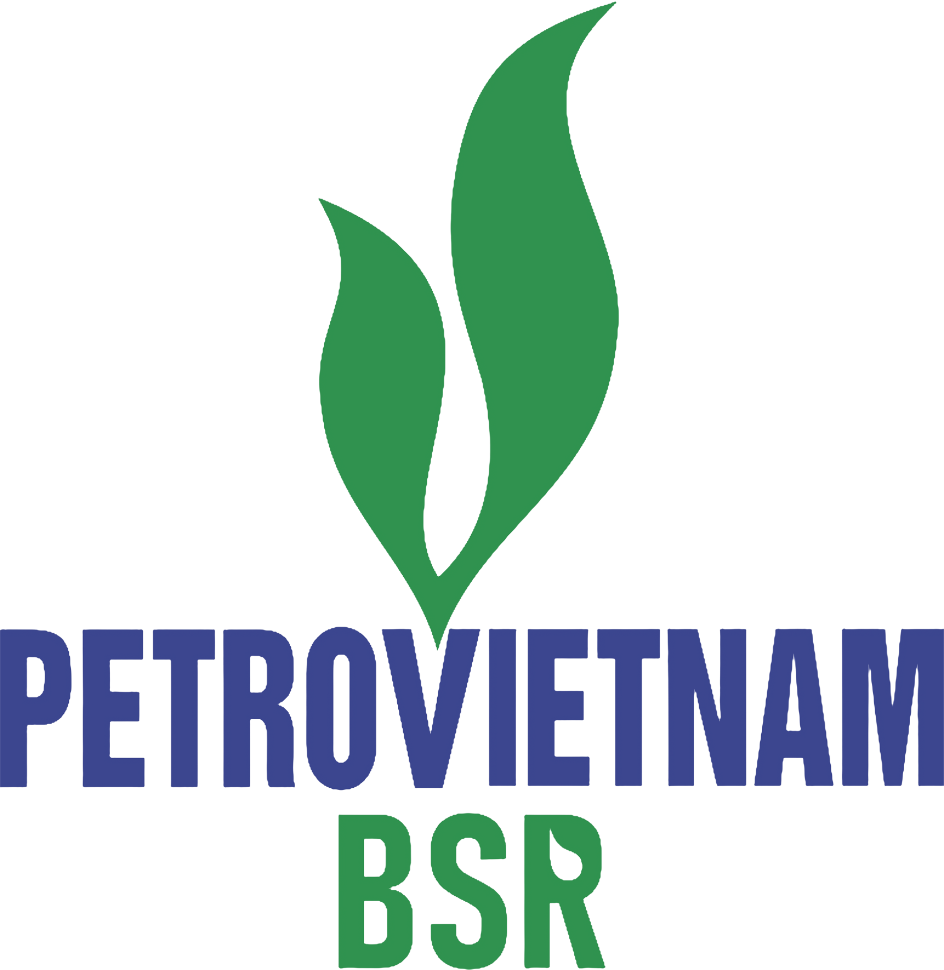 logo-BSR-new